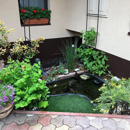 Milla Apartman Szentendre Esterno foto