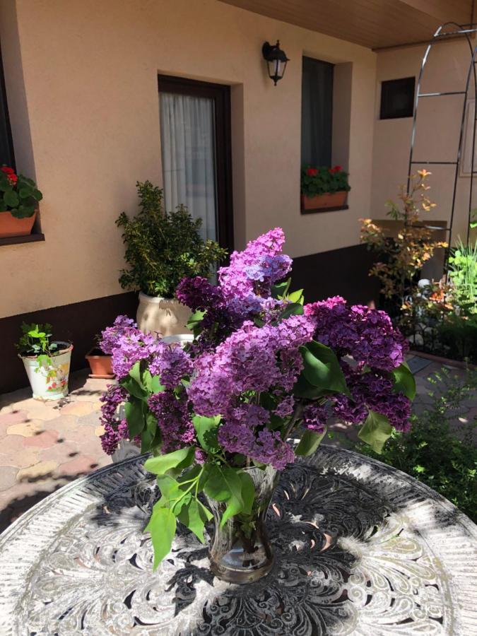 Milla Apartman Szentendre Esterno foto