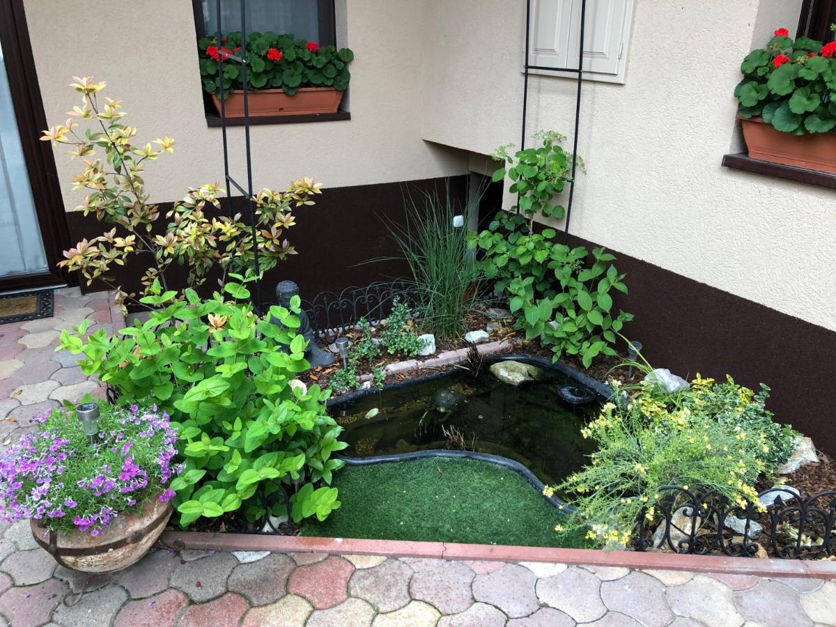 Milla Apartman Szentendre Esterno foto